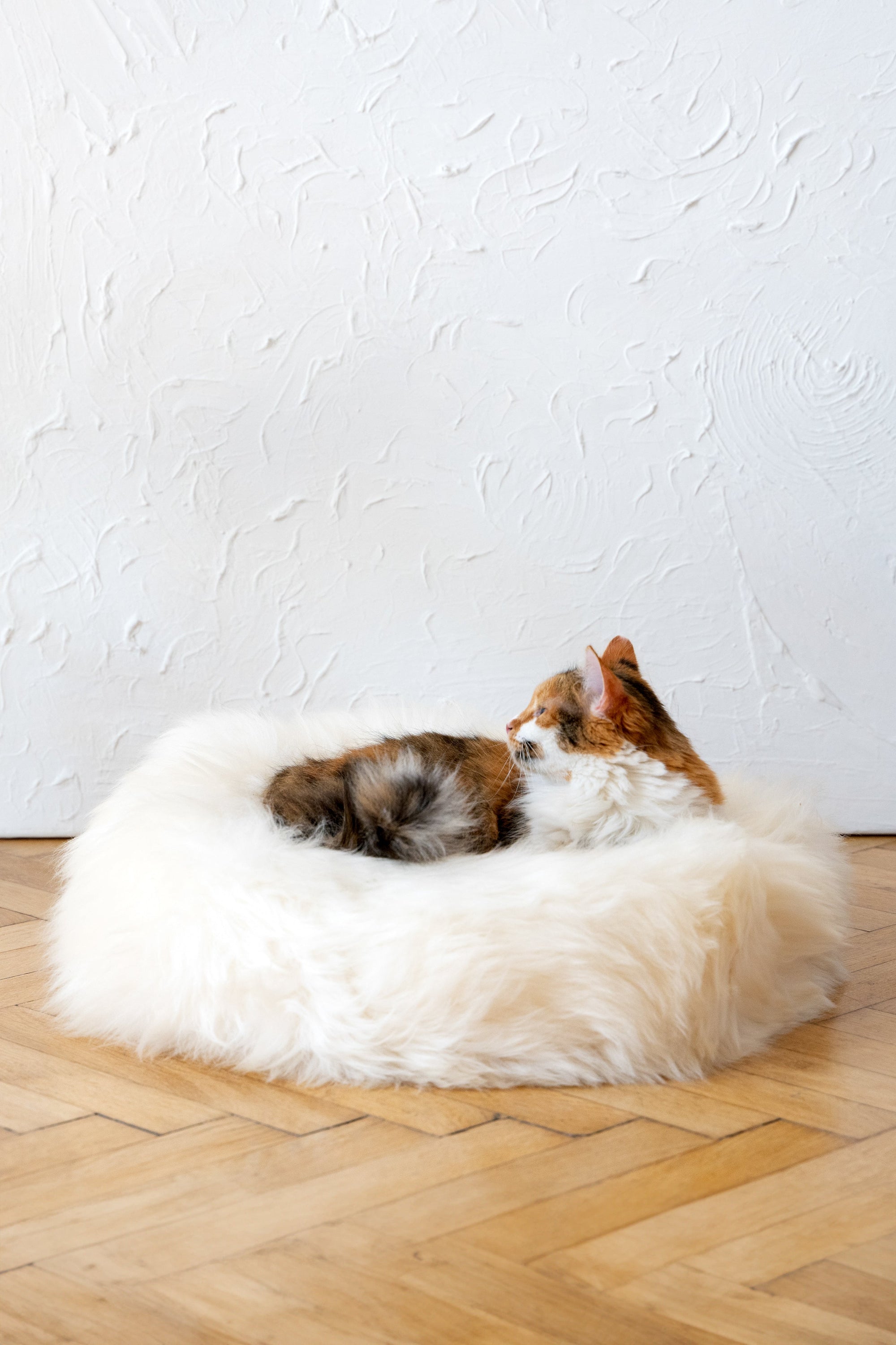 Round Natural Sheepskin Pet Bed - White-2