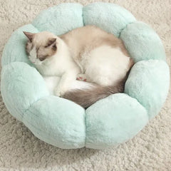 Fluffy Bliss Donut Pet Bed for Cozy Comfort (One Piece)