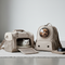 Pet Carriers