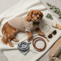 Collection image for: Pet Clothing