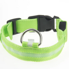 Feu vert / Rechargeable XS