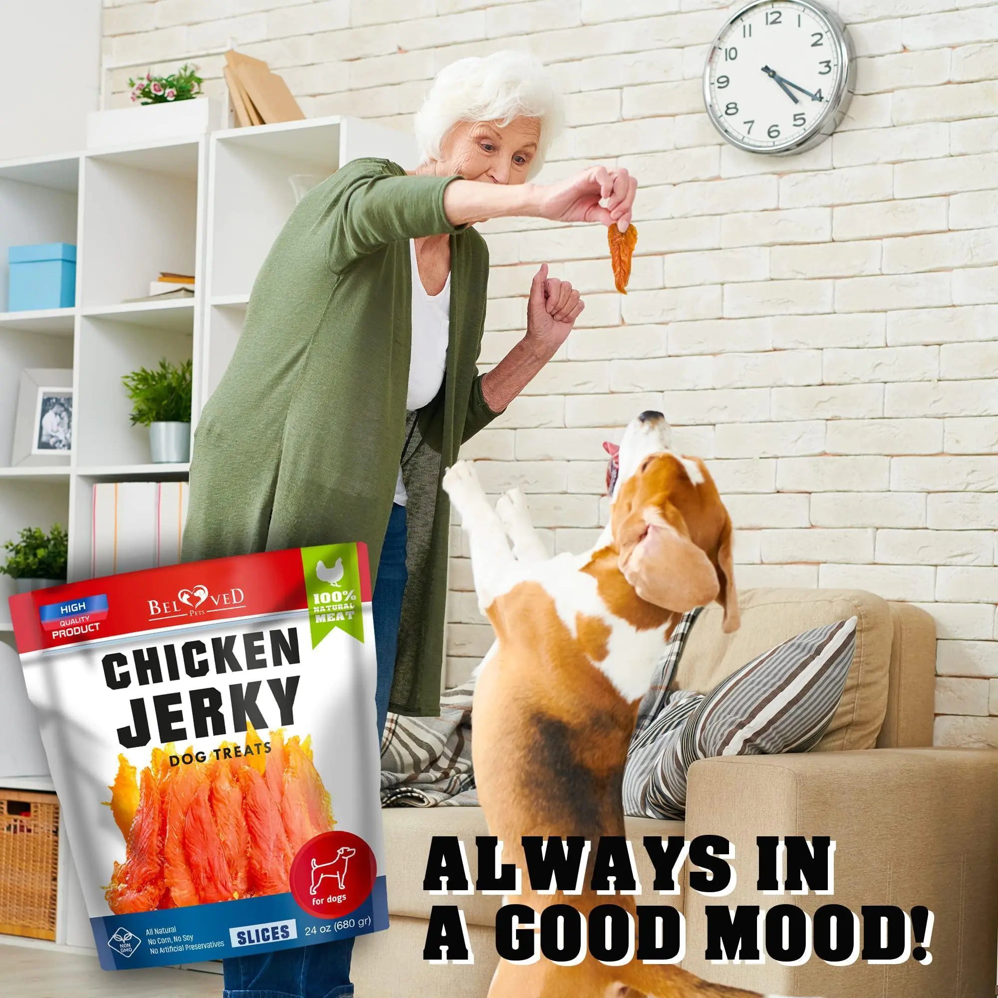 Chicken Jerky Dog Treats 1.5 Lb Human Grade Pet Snacks
