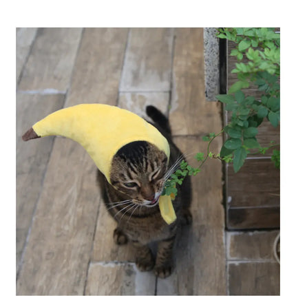 Tabby cat wearing a funny yellow banana costume hat outdoors.