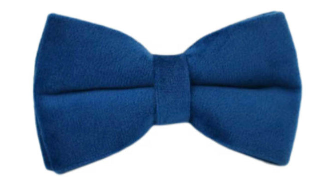 Blue Velvet Dog Collar & Leash Set | Bow, Vest, Flower & More | XS–XL