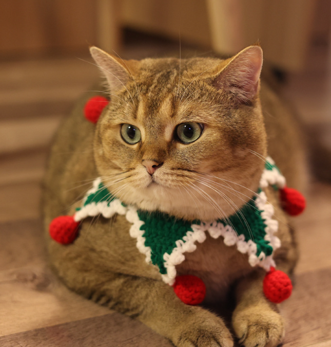 Christmas Pet Collar with Star Design – Handmade