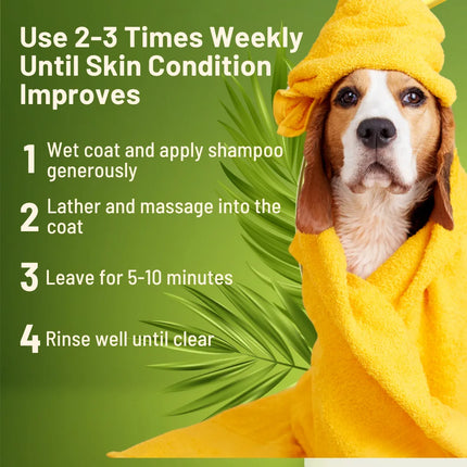 Instruction guide for Healthy Paw Life restorative shampoo featuring a beagle in a yellow towel.