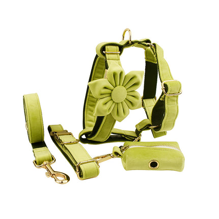 Avocado Velvet Dog Collar Set | Bow, Vest, Leash, Flower & More | XS–XL