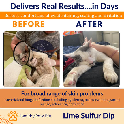 Before and after comparison of a cat using Healthy Paw Life Lime Sulfur Dip for skin relief.