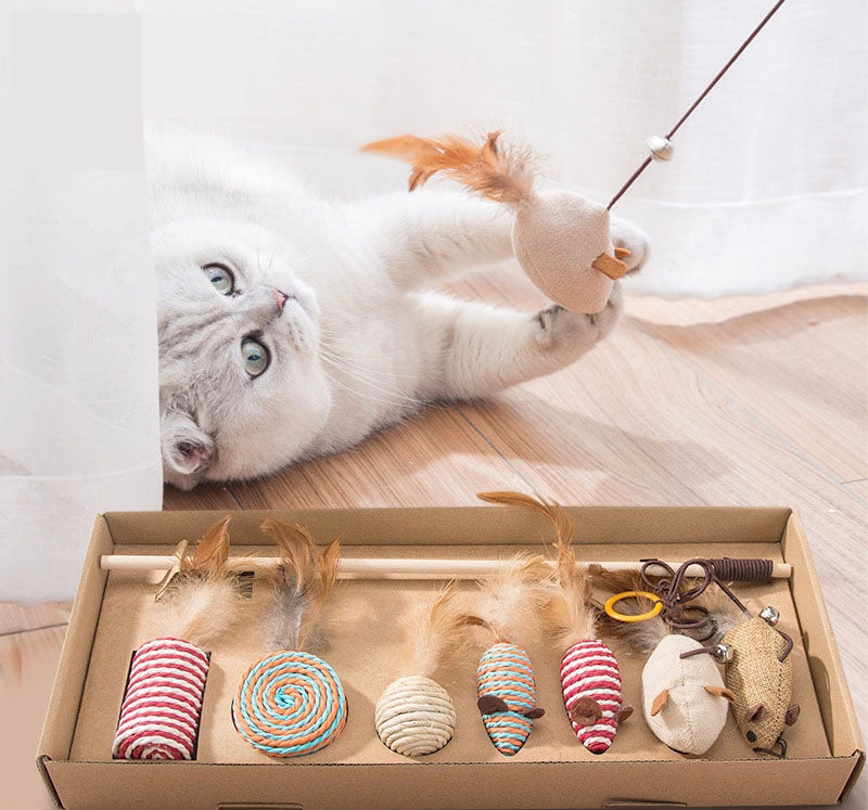 White cat playing with feather wand and assorted cat toys in a box