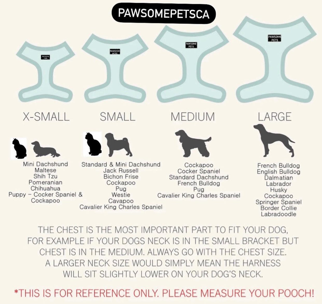 Dog harness size chart for breeds from X-Small to Large with fitting tips