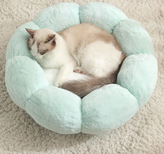Cozy cat sleeping in soft mint green pet bed, perfect for feline comfort and relaxation.