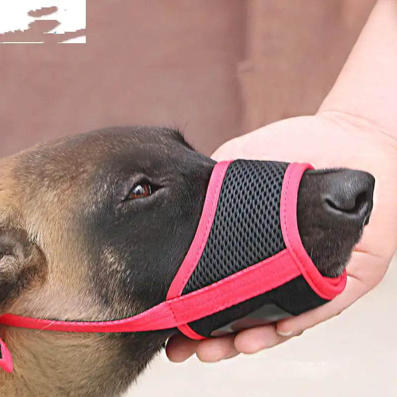 Mouth Cover for Large Labrador Dog to Prevent Eating - Nai Pet Store