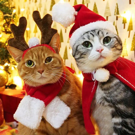 Christmas Pet Hats & Accessories