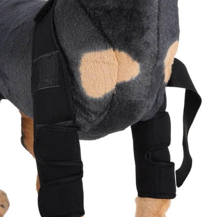 1al5eU0YVrWdjBrs - Nai Pet Store