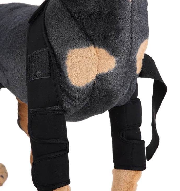 Dog Knee Brace and Leg Protector for Injury Recovery - Nai Pet Store