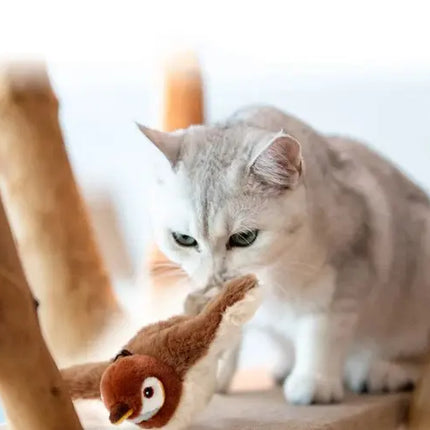 Pet Plush Toy