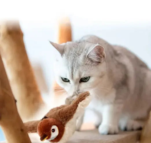 <h3>Pet Toys</h3>