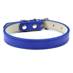 Royal Blue / S