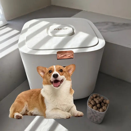 LPT pet food storage container with flip-top lid and a happy corgi dog.