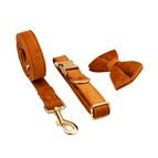 Dog vest / L