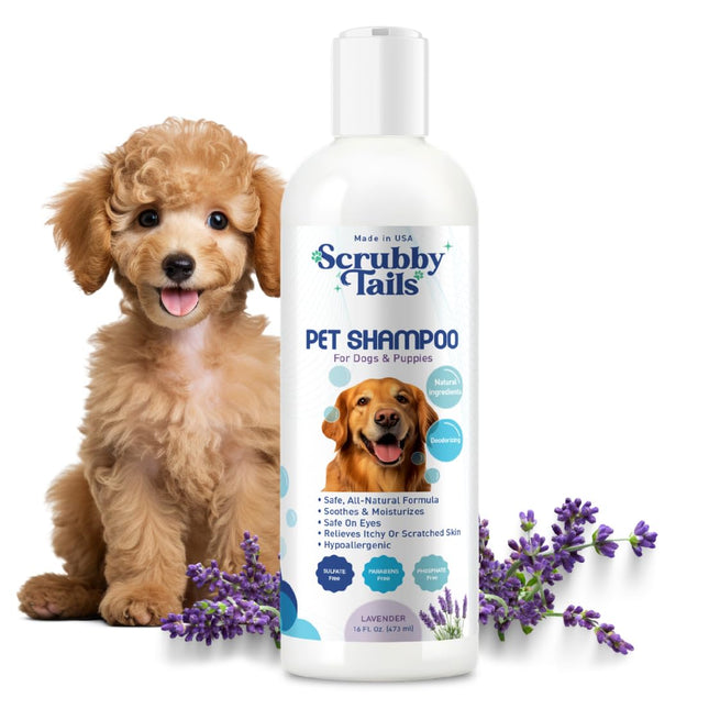 Shampoing biologique Scrubby Tails à l'avoine pour chiens à peau sensible | Lavande, 473 ml