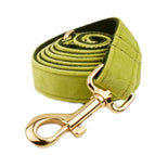 Dog leash / XS