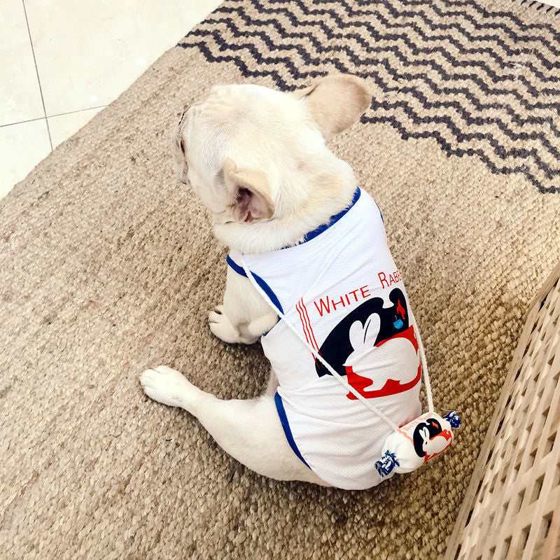 Cute French bulldog wearing White Rabbit-themed pet shirt, sitting on patterned rug