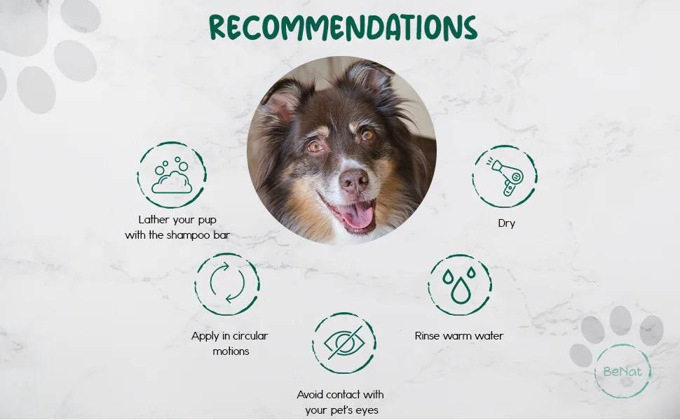 Dog shampoo usage guide: lather, circular motion, avoid eyes, rinse, dry — pet care tips