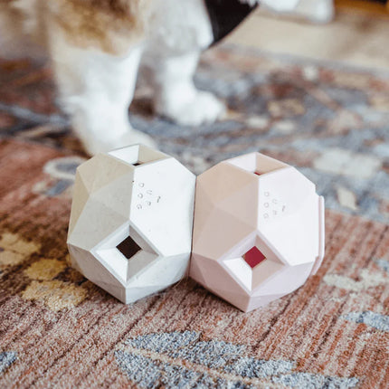 2_51bc6e4c-20b7-42ad-8fe4-f620297fa9a2 - Nai Pet Store