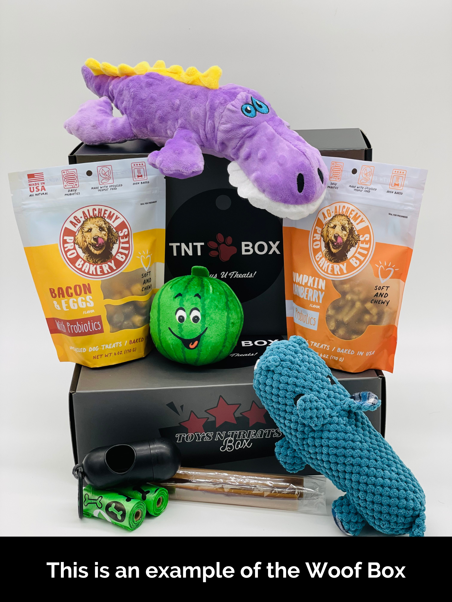 Dog toy box with plush alligator, watermelon toy, probiotic treats, and pet accessories for dogs