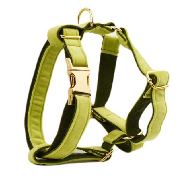 Avocado Velvet Dog Collar Set | Bow, Vest, Leash, Flower & More | XS–XL