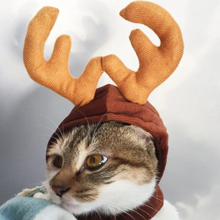Christmas Pet Hats & Accessories
