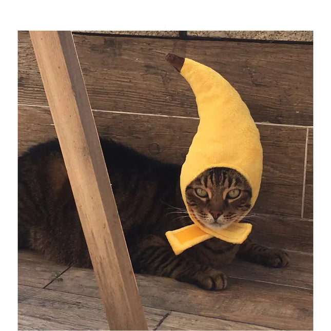 Brown tabby cat wearing a plush banana costume hat from Nai Pet Store
