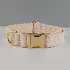 Dog rope gold buckle / S