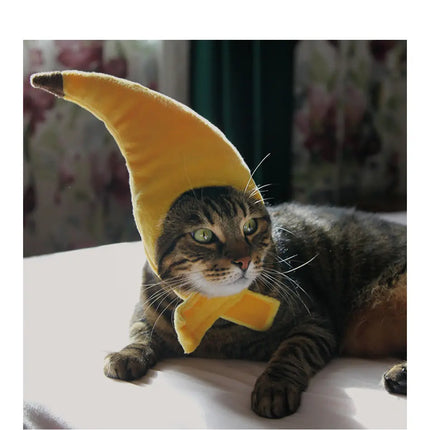 Tabby cat wearing a funny yellow banana costume hat from Nai Pet Store