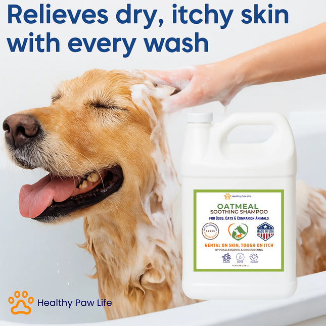 Oatmeal Shampoo for Dogs, Cats & Horses | 1 Gallon