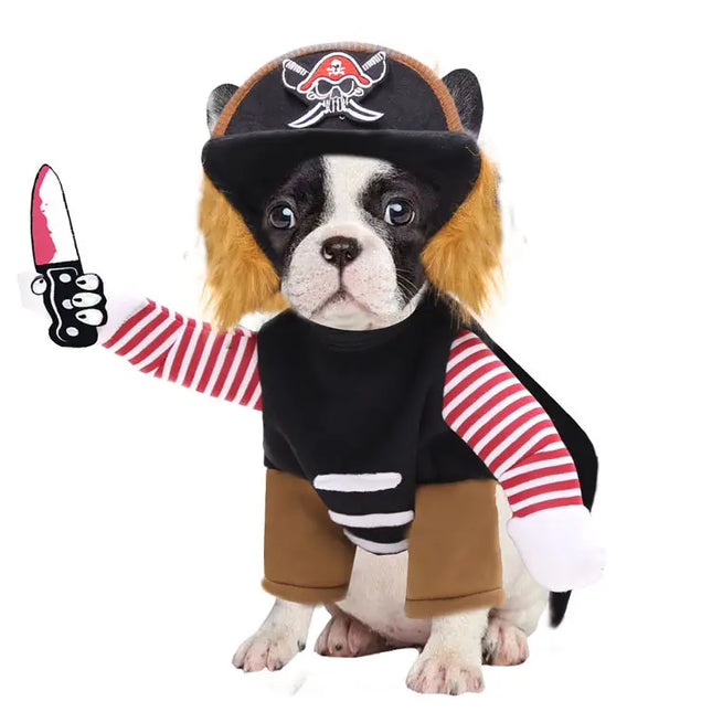 French Bulldog wearing a pirate costume with a hat and striped shirt holding a toy knife.