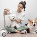 Woman grooming white Bichon Frise with pet dryer, Corgi nearby — dog grooming tools & supplies