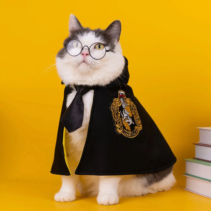 Grey and white cat wearing Magic Academy Cape and glasses against a yellow background.