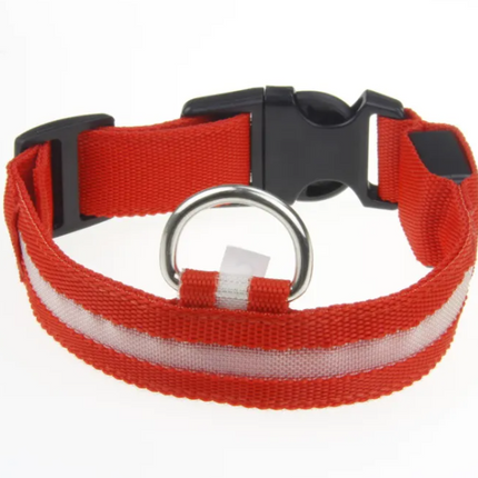 LED Dog Collar