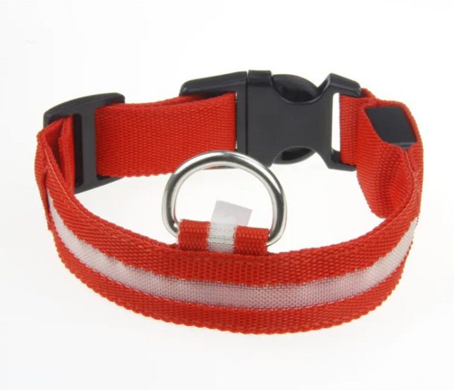 Red dog collar with reflective stripe and black buckle for pet safety and comfort