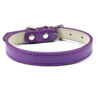 Purple / M