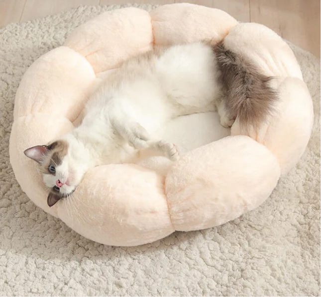 Fluffy cat resting in cozy pink pet bed, perfect for cats and small dogs