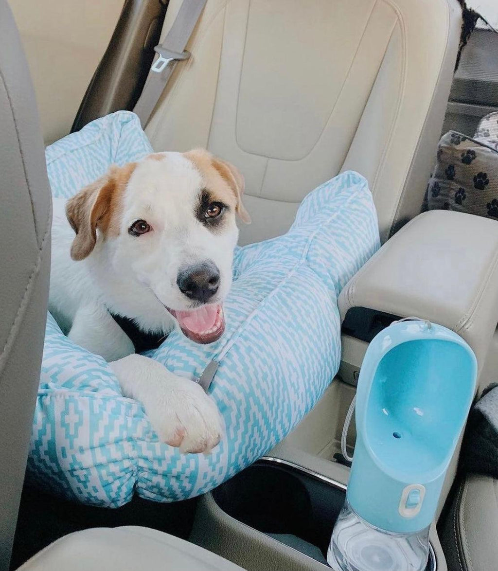 Happy dog in car seat with blue patterned pet bed and portable water dispenser for travel