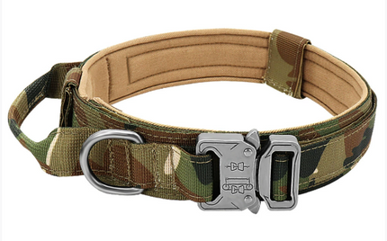 Premium Adjustable Nylon Dog Collar