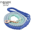 Blue and mint rope dog leash with rose gold clip, premium pet accessory for walks