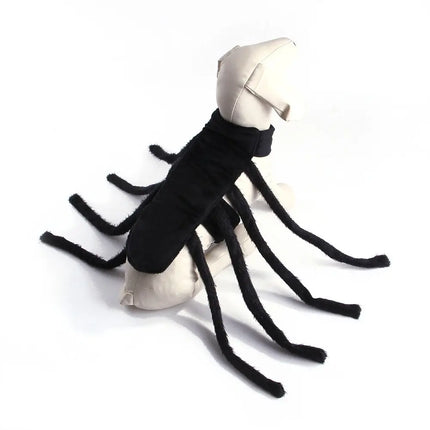 Spider Pet Costume