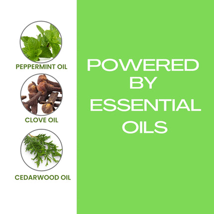 Healthy Paw Life flea and tick shampoo ingredients: peppermint, clove, and cedarwood essential oils.