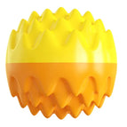 Vocal Teether Ball / n/a
