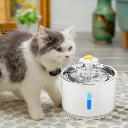 Automatic Pet Water Fountain | LED Light | Filtered | Quiet Pump | Cats & Small Dogs